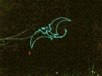 photos 2000-200902499